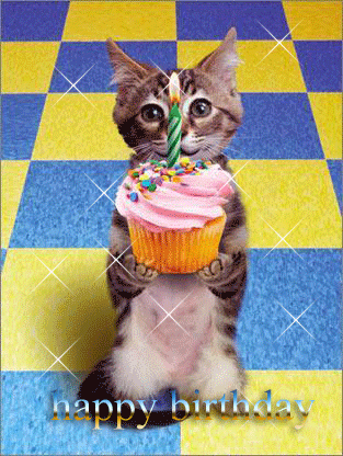 birthday-cat.gif